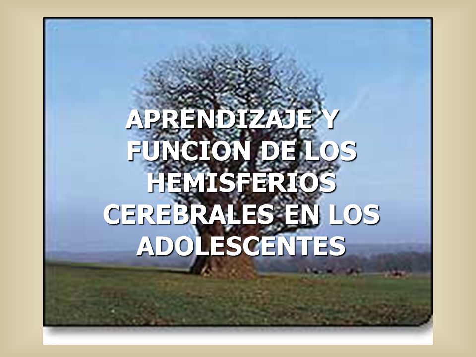 APRENDIZAJE Y FUNCION DE LOS HEMISFERIOS CEREBRALES EN LOS ADOLESCENTES