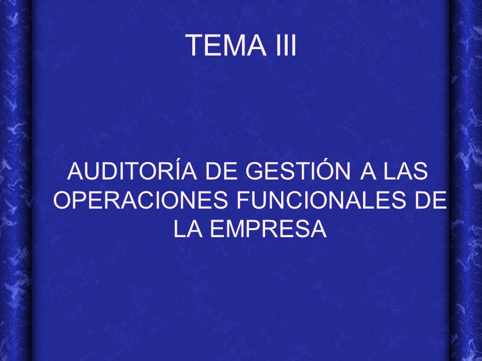 AUDITORÍA DE GESTIÓN A LAS OPERACIONES FUNCIONALES DE LA EMPRESA