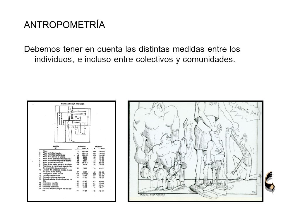ANTROPOMETRÍA Debemos tener en cuenta las distintas medidas entre los individuos, e incluso entre colectivos y comunidades.