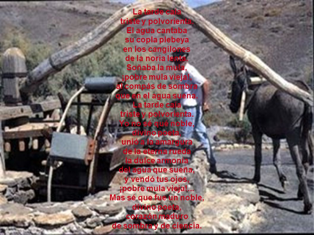 La tarde caía triste y polvorienta. El agua cantaba. su copla plebeya. en los cangilones. de la noria lenta.