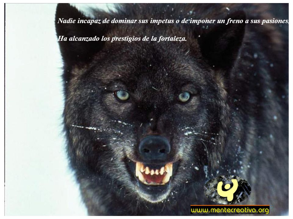 Nadie incapaz de dominar sus impetus o de imponer un freno a sus pasiones,