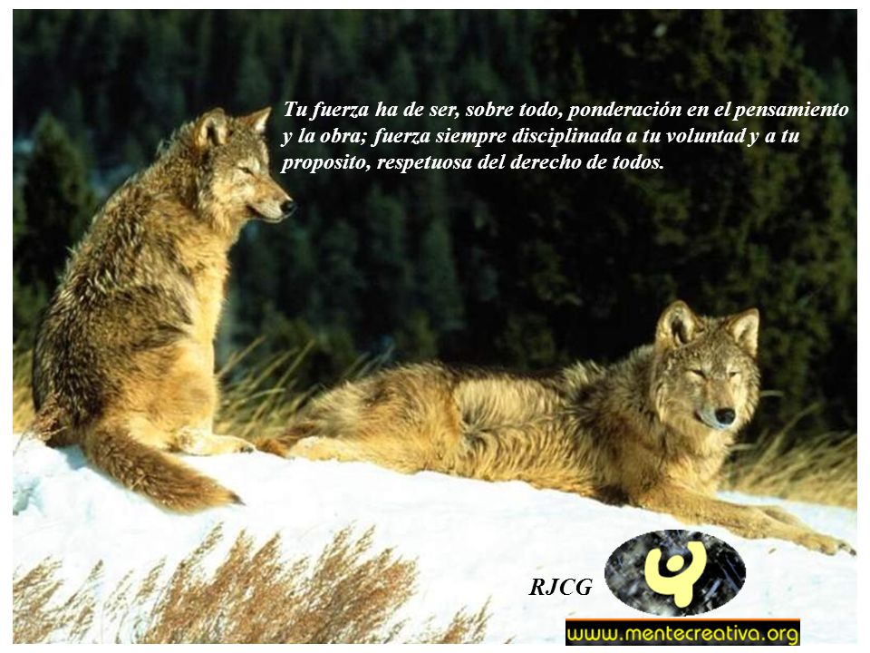 RJCG Tu fuerza ha de ser, sobre todo, ponderación en el pensamiento