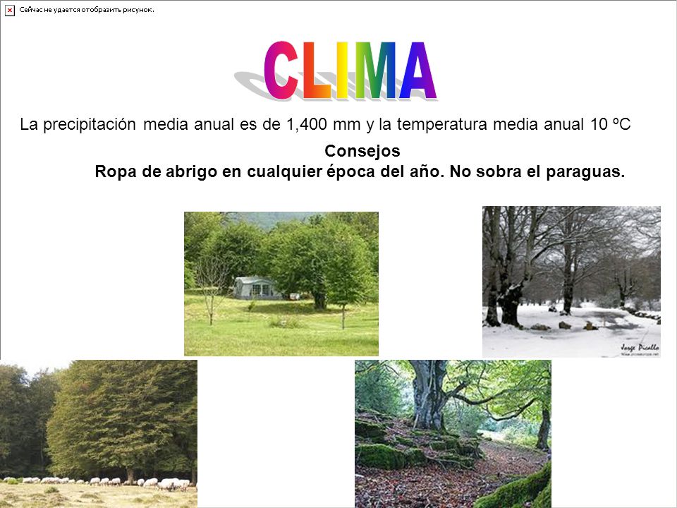 CLIMA La precipitación media anual es de 1,400 mm y la temperatura media anual 10 ºC.