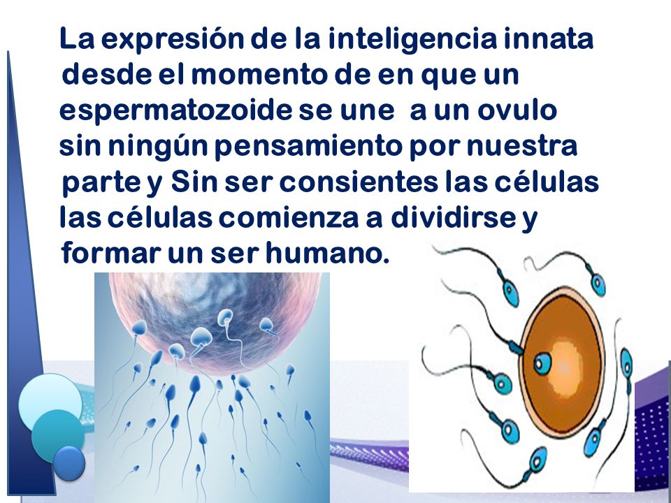 La expresión de la inteligencia innata desde el momento de en que un