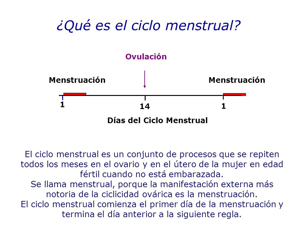 Días del Ciclo Menstrual