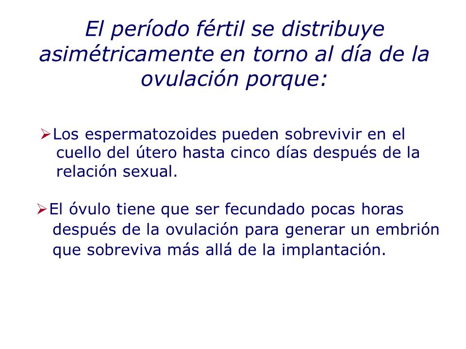 El período fértil se distribuye asimétricamente en torno al día de la ovulación porque: