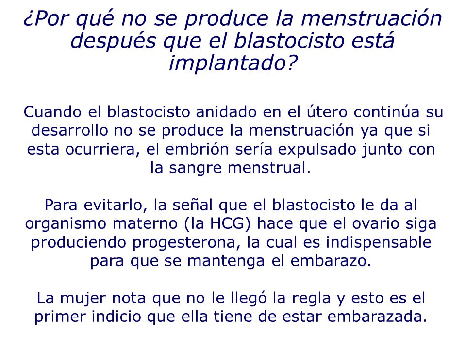¿Por qué no se produce la menstruación después que el blastocisto está implantado