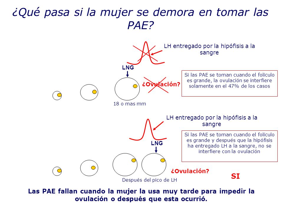 ¿Qué pasa si la mujer se demora en tomar las PAE