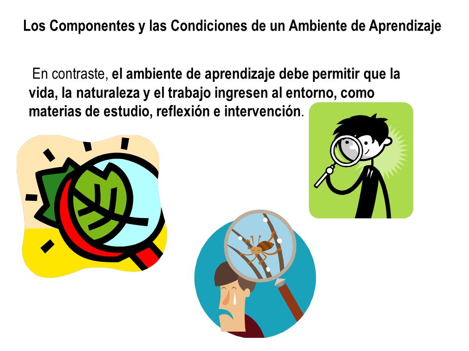 Los Componentes y las Condiciones de un Ambiente de Aprendizaje