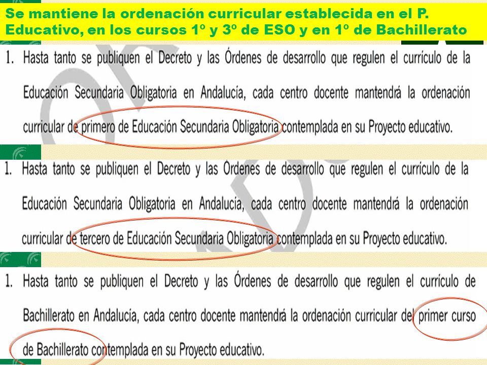 Se mantiene la ordenación curricular establecida en el P.