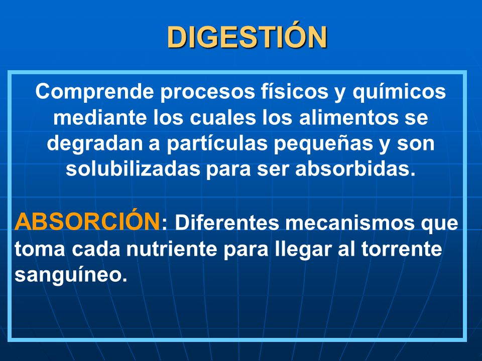 DIGESTIÓN Comprende procesos físicos y químicos. mediante los cuales los alimentos se. degradan a partículas pequeñas y son.