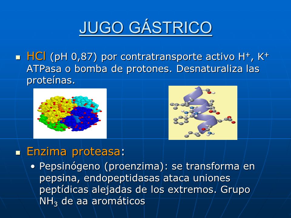 JUGO GÁSTRICO HCl (pH 0,87) por contratransporte activo H+, K+ ATPasa o bomba de protones. Desnaturaliza las proteínas.