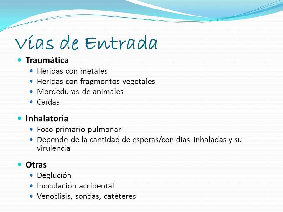 Vías de Entrada Traumática Inhalatoria Otras Heridas con metales
