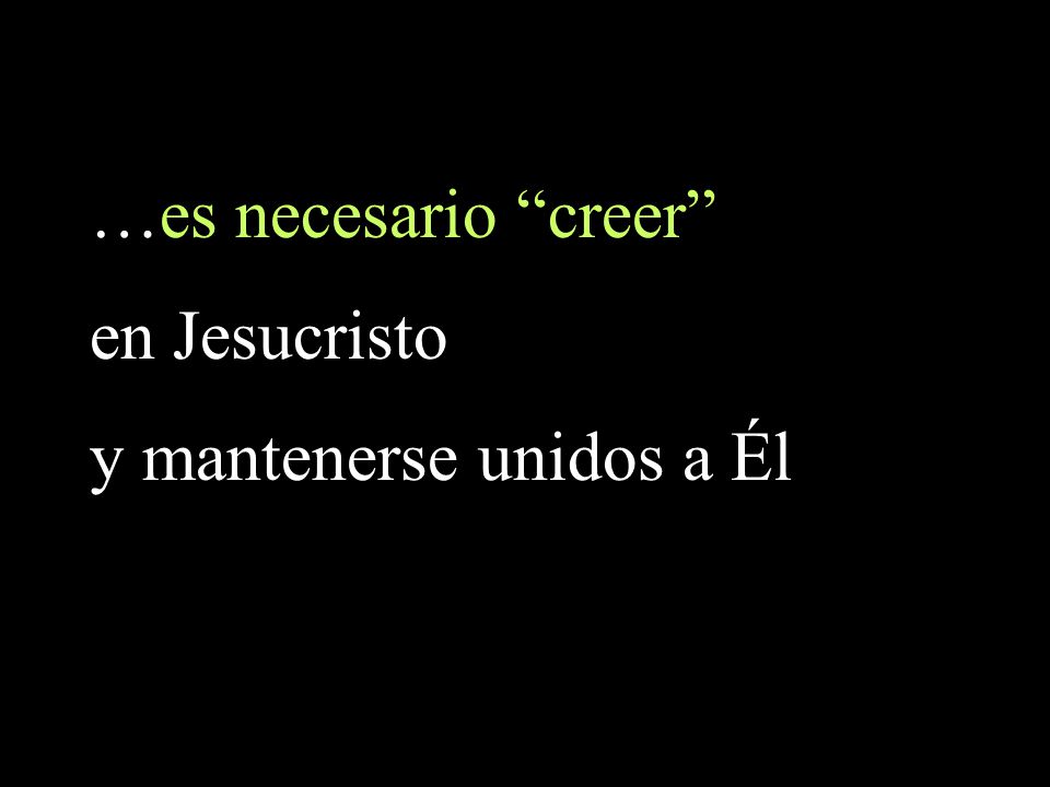 …es necesario creer en Jesucristo y mantenerse unidos a Él