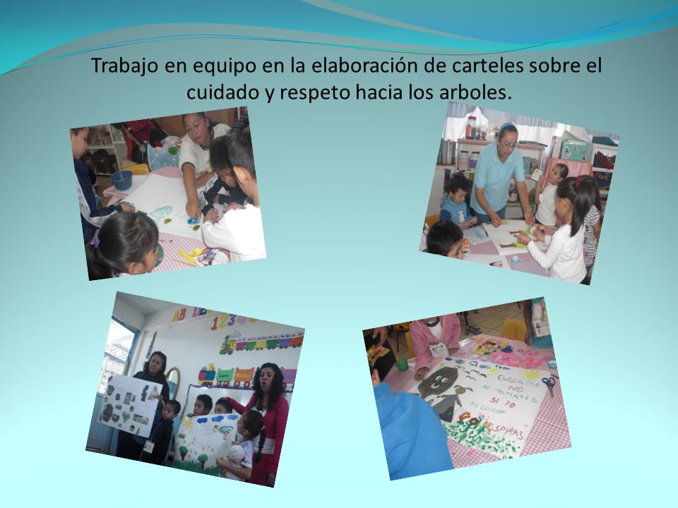 Trabajo en equipo en la elaboración de carteles sobre el cuidado y respeto hacia los arboles.