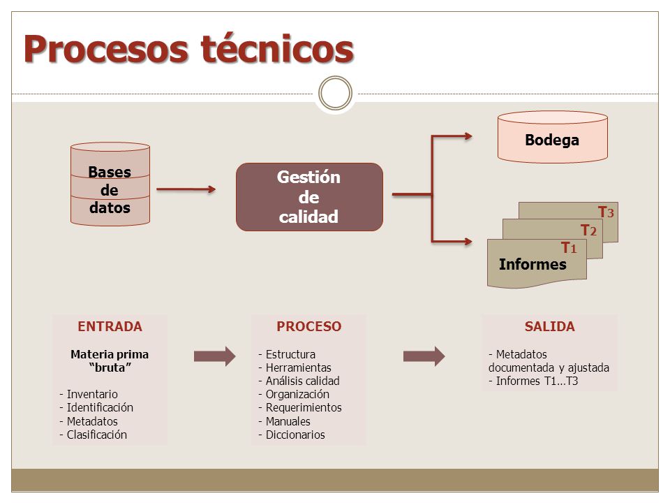 Procesos técnicos Gestión de calidad Bodega Bases de datos T3 T2 T1