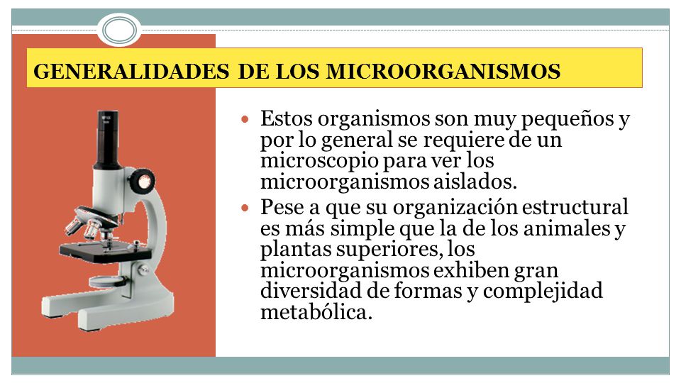 GENERALIDADES DE LOS MICROORGANISMOS