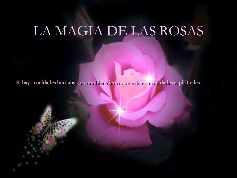 LA MAGIA DE LAS ROSAS Si hay crueldades humanas, es también cierto que existen crueldades espirituales.