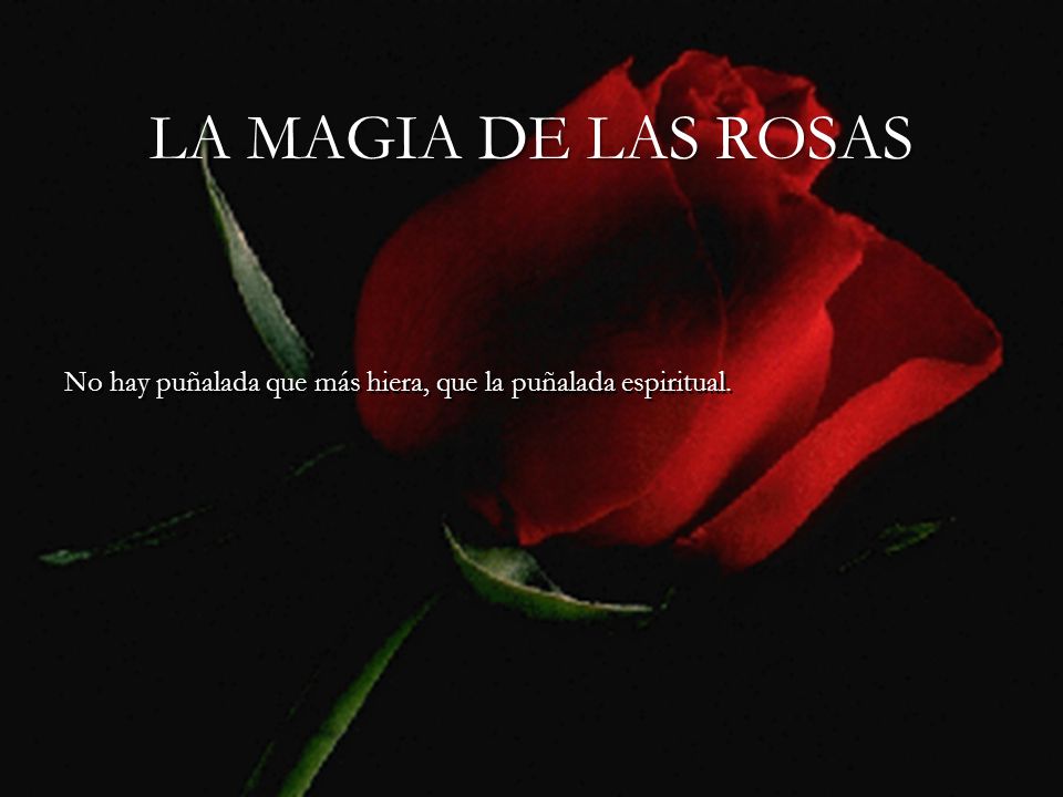 LA MAGIA DE LAS ROSAS No hay puñalada que más hiera, que la puñalada espiritual.