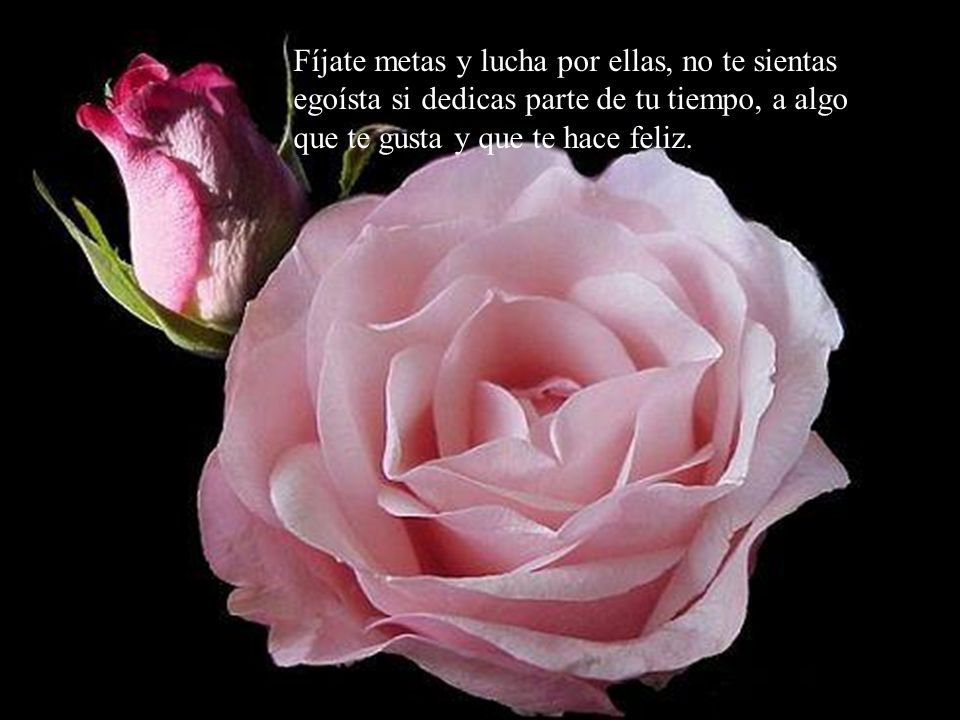 Fíjate metas y lucha por ellas, no te sientas