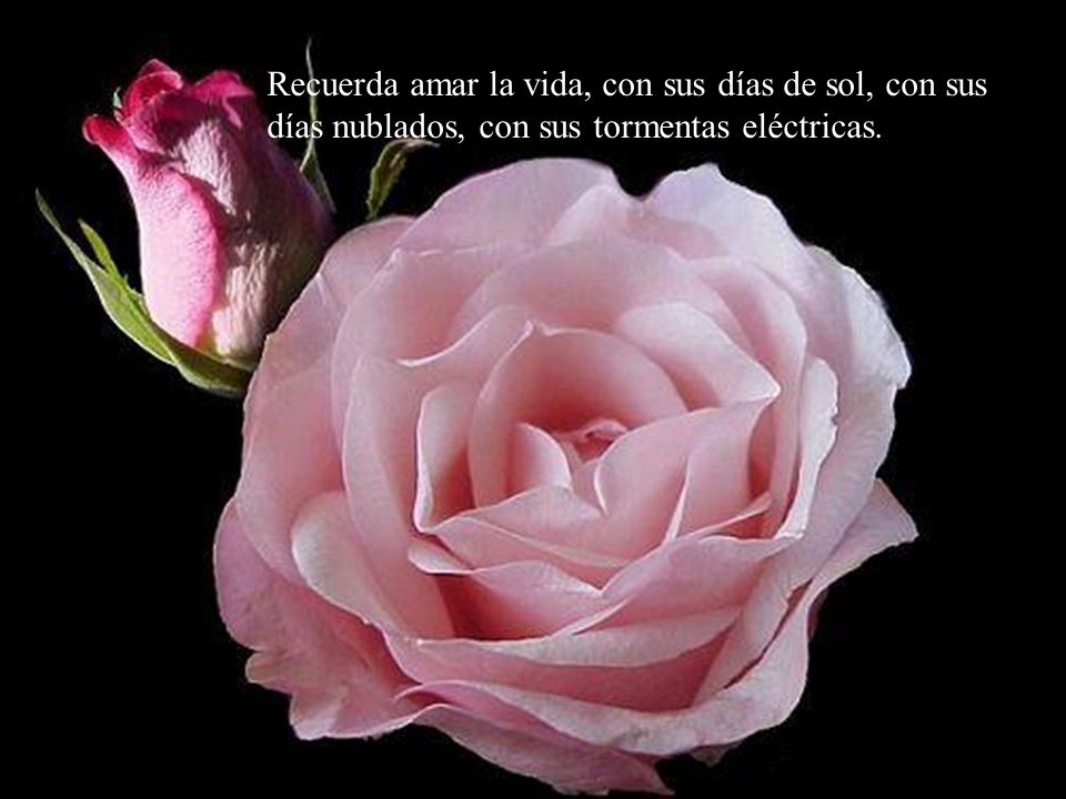 Recuerda amar la vida, con sus días de sol, con sus días nublados, con sus tormentas eléctricas.