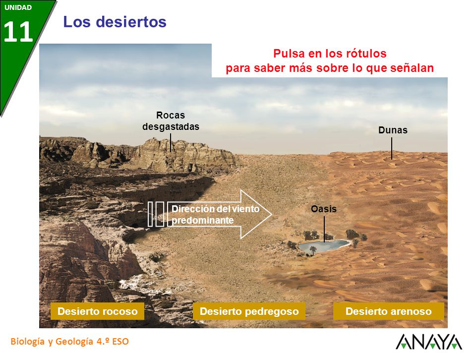 Pulsa en los rótulos para saber más sobre lo que señalan