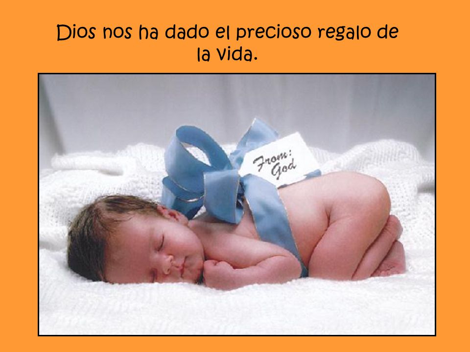 Dios nos ha dado el precioso regalo de la vida.