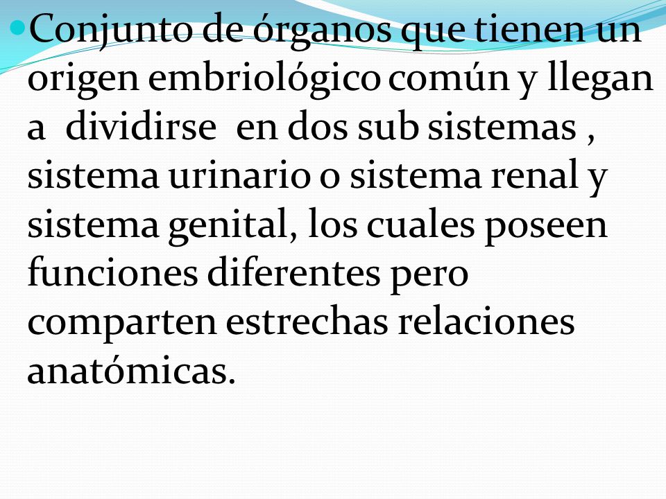 Conjunto de órganos que tienen un origen embriológico común y llegan a dividirse en dos sub sistemas , sistema urinario o sistema renal y sistema genital, los cuales poseen funciones diferentes pero comparten estrechas relaciones anatómicas.