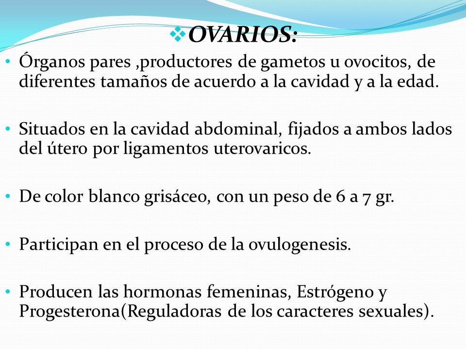 OVARIOS: Órganos pares ,productores de gametos u ovocitos, de diferentes tamaños de acuerdo a la cavidad y a la edad.
