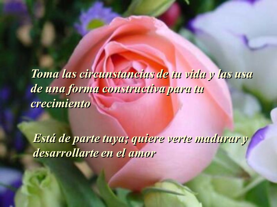 Toma las circunstancias de tu vida y las usa de una forma constructiva para tu crecimiento