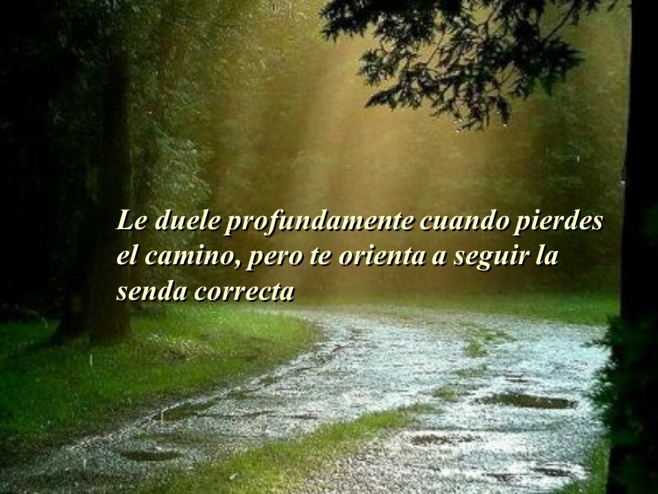 Le duele profundamente cuando pierdes el camino, pero te orienta a seguir la senda correcta