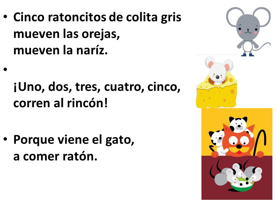 Cinco ratoncitos de colita gris mueven las orejas, mueven la naríz.