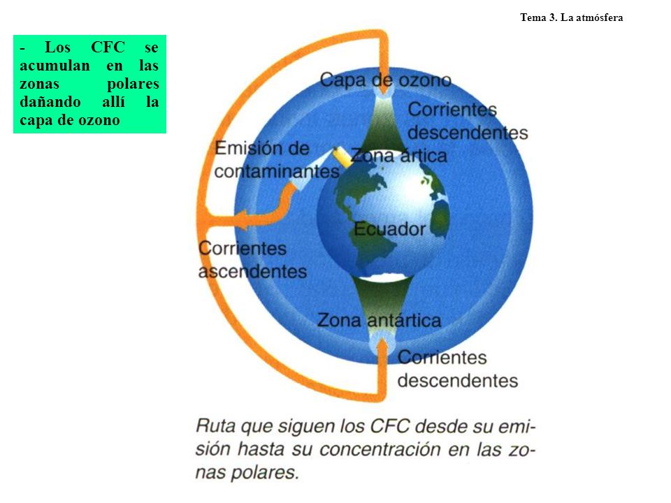 Tema 3. La atmósfera - Los CFC se acumulan en las zonas polares dañando allí la capa de ozono