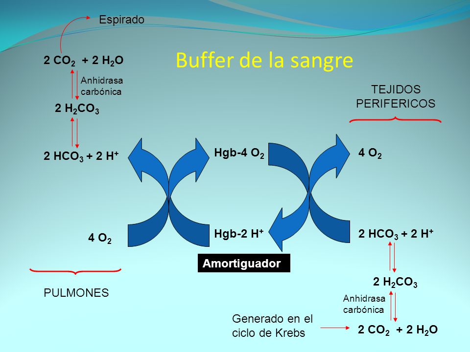 Buffer de la sangre Espirado 2 CO2 + 2 H2O TEJIDOS PERIFERICOS 2 H2CO3
