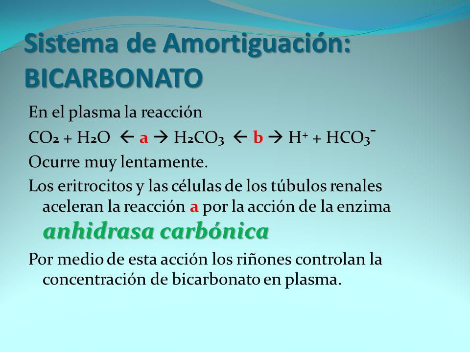 Sistema de Amortiguación: BICARBONATO