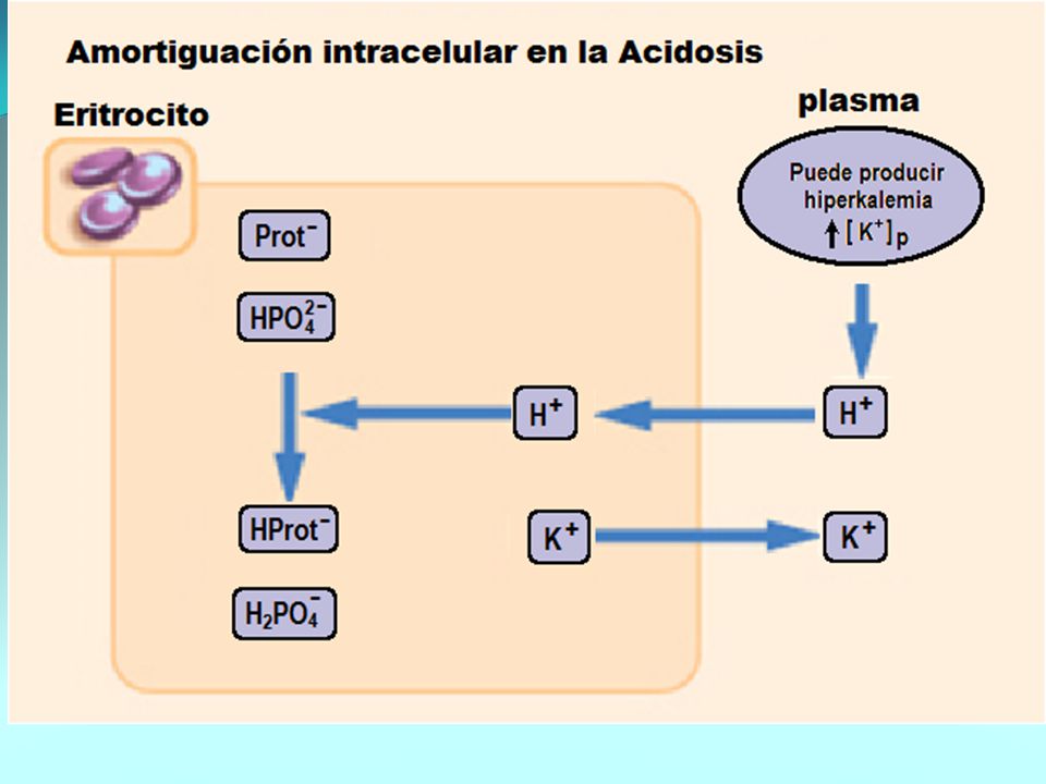 Amortiguadores intracelulares: Proteínas, Fosfatos y recambio de Potasio