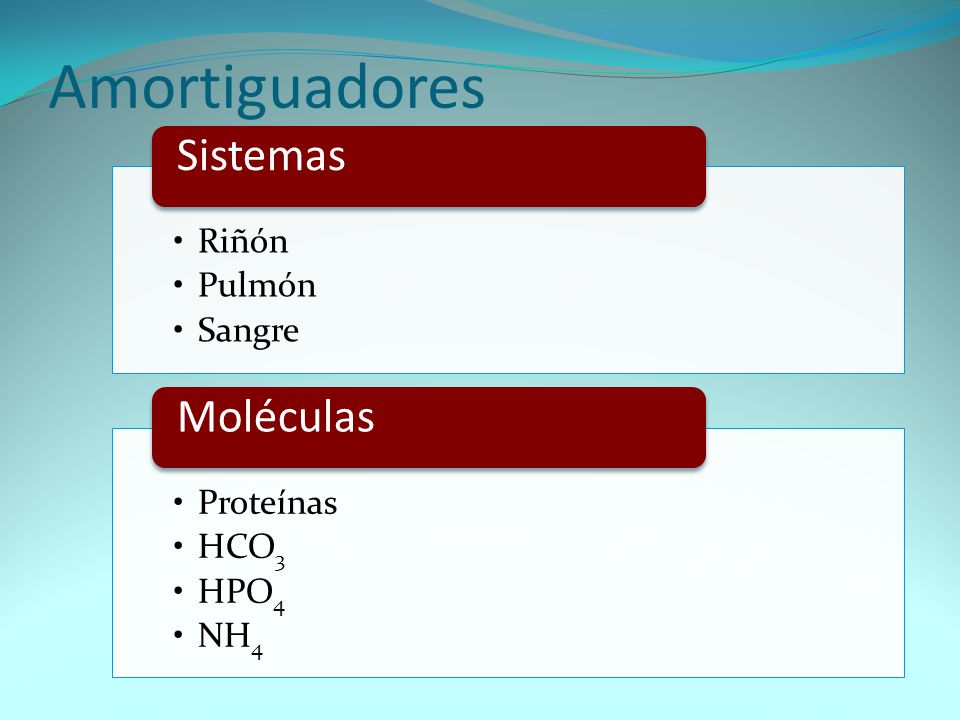 Amortiguadores Sistemas Moléculas Riñón Pulmón Sangre Proteínas HCO3