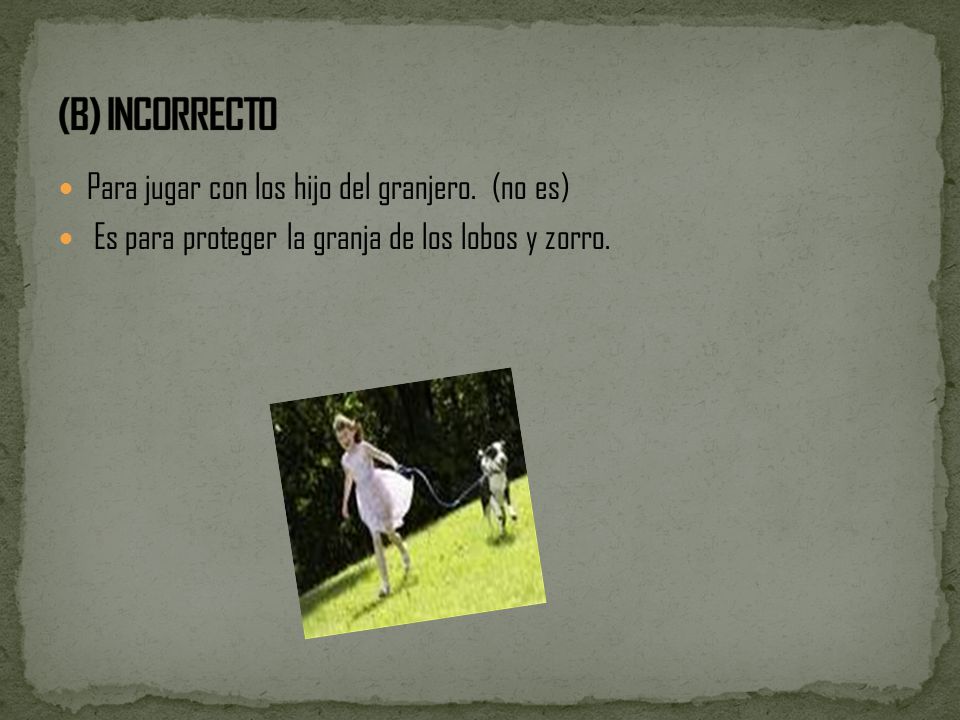 (B) INCORRECTO Para jugar con los hijo del granjero. (no es)