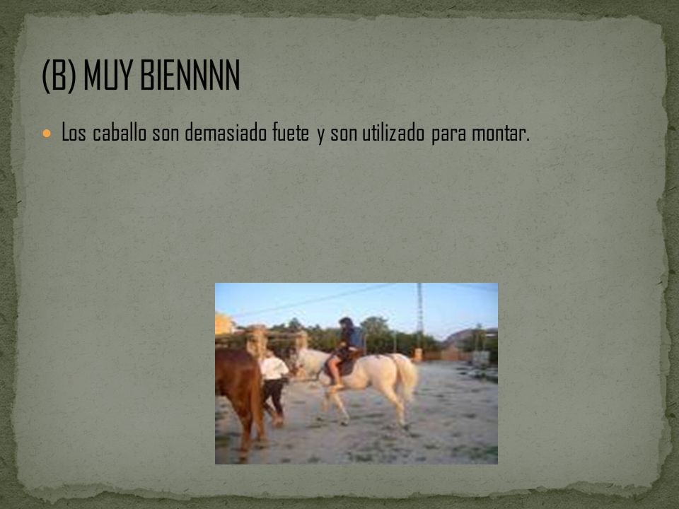 (B) MUY BIENNNN Los caballo son demasiado fuete y son utilizado para montar.