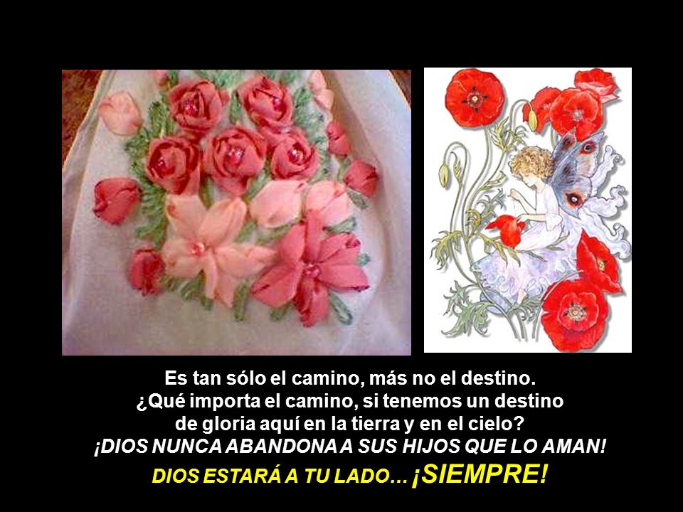Es tan sólo el camino, más no el destino.