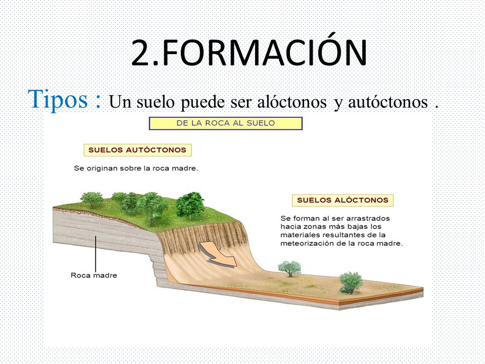 2.FORMACIÓN Tipos : Un suelo puede ser alóctonos y autóctonos .