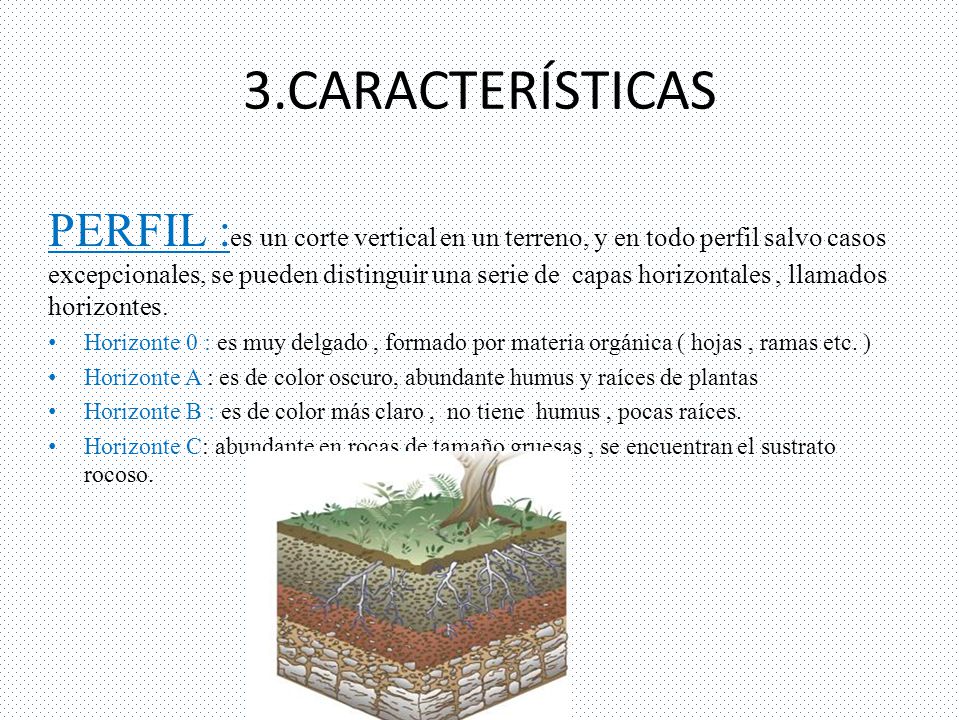 PERFIL :es un corte vertical en un terreno, y en todo perfil salvo casos excepcionales, se pueden distinguir una serie de capas horizontales , llamados horizontes.