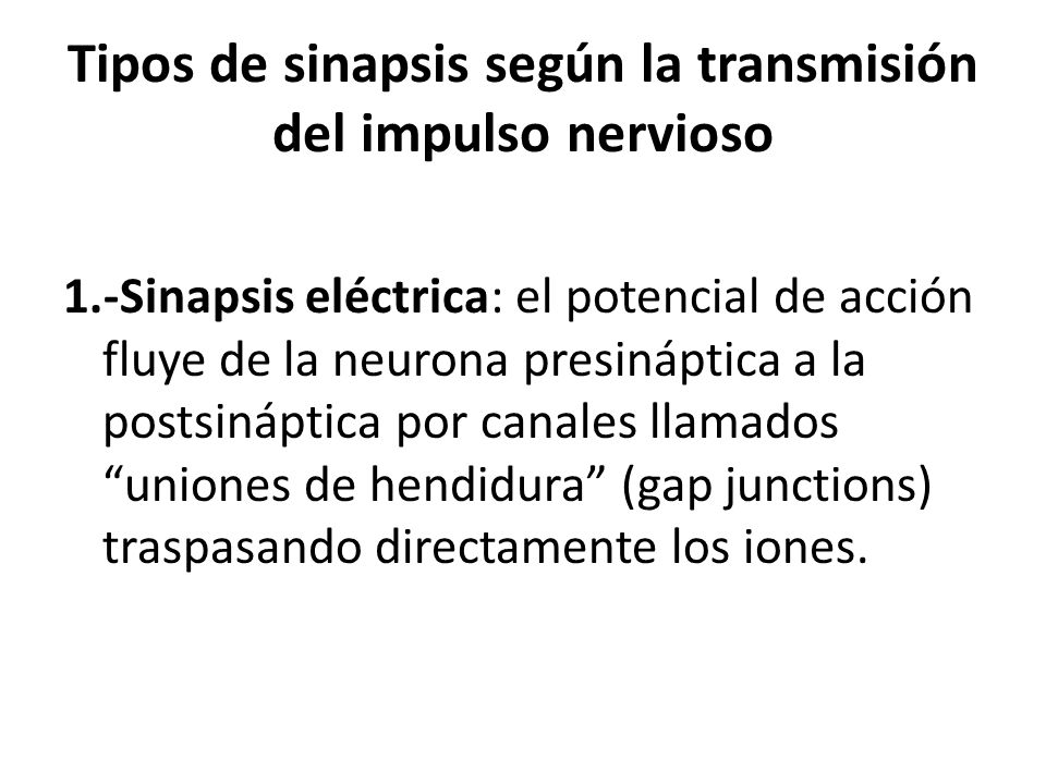 Tipos de sinapsis según la transmisión del impulso nervioso