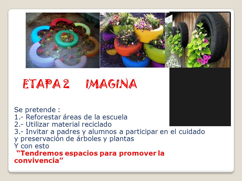 ETAPA 2 IMAGINA Se pretende : 1.- Reforestar áreas de la escuela