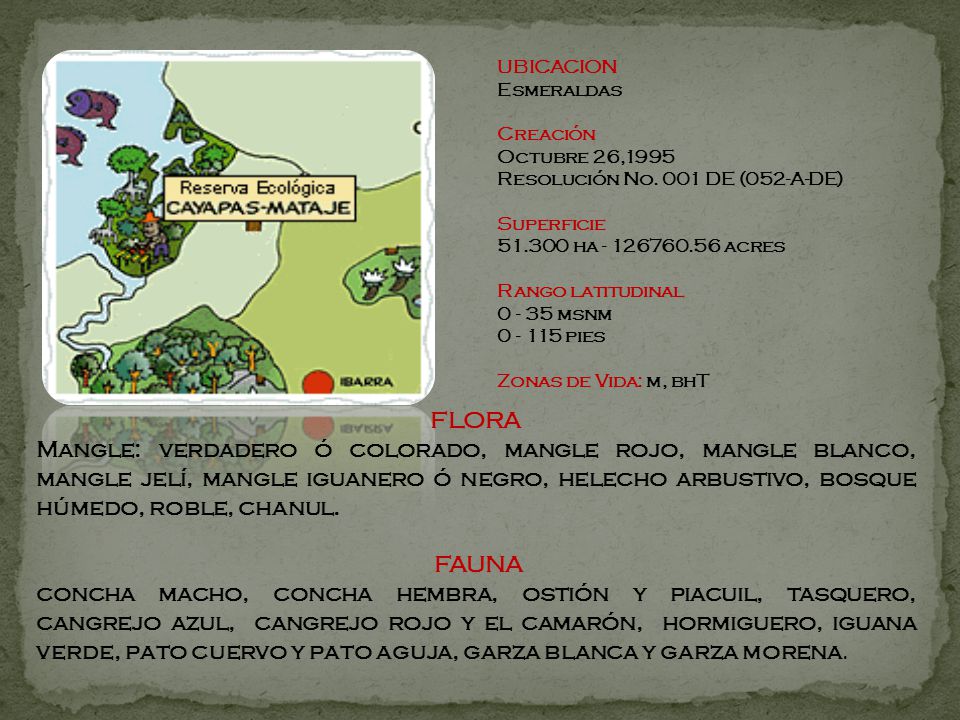 UBICACION Esmeraldas Creación Octubre 26,1995 Resolución No. 001 DE (052-A-DE) Superficie ha acres.