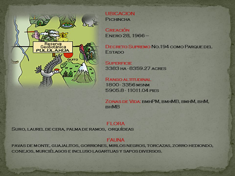 UBICACION Pichincha Creación Enero 28, 1966 – Decreto Supremo No.194 como Parque del Estado. Superficie 3383 ha acres.