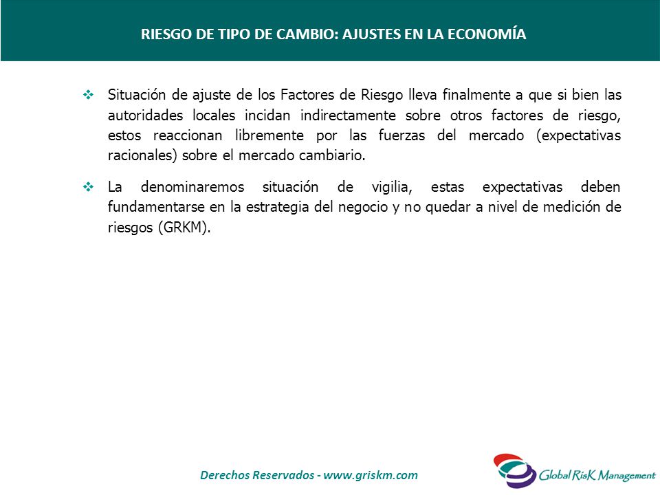 RIESGO DE TIPO DE CAMBIO: AJUSTES EN LA ECONOMÍA