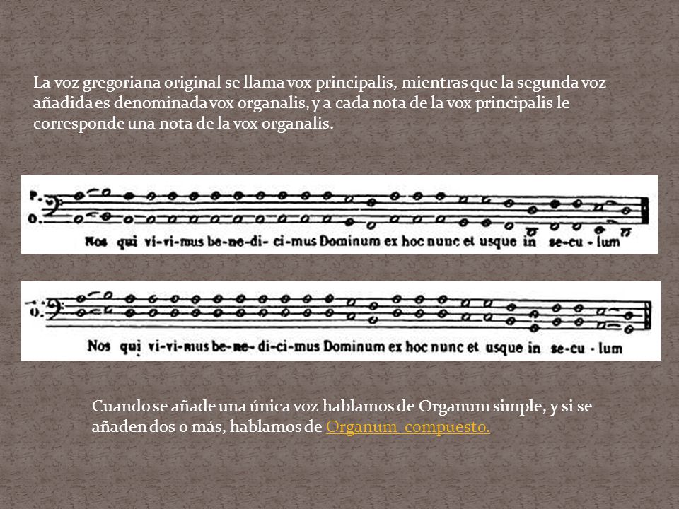La voz gregoriana original se llama vox principalis, mientras que la segunda voz añadida es denominada vox organalis, y a cada nota de la vox principalis le corresponde una nota de la vox organalis.