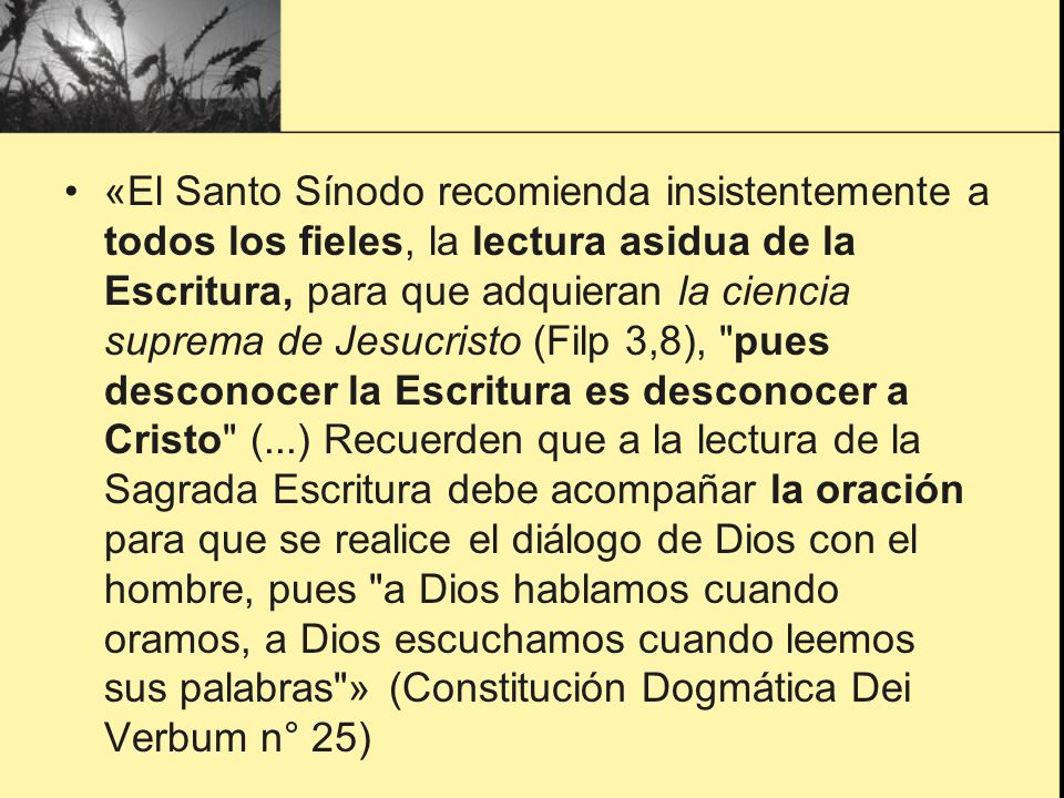 «El Santo Sínodo recomienda insistentemente a todos los fieles, la lectura asidua de la Escritura, para que adquieran la ciencia suprema de Jesucristo (Filp 3,8), pues desconocer la Escritura es desconocer a Cristo (...) Recuerden que a la lectura de la Sagrada Escritura debe acompañar la oración para que se realice el diálogo de Dios con el hombre, pues a Dios hablamos cuando oramos, a Dios escuchamos cuando leemos sus palabras » (Constitución Dogmática Dei Verbum n° 25)