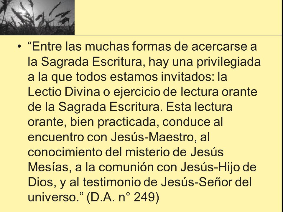 Entre las muchas formas de acercarse a la Sagrada Escritura, hay una privilegiada a la que todos estamos invitados: la Lectio Divina o ejercicio de lectura orante de la Sagrada Escritura. Esta lectura orante, bien practicada, conduce al encuentro con Jesús-Maestro, al conocimiento del misterio de Jesús Mesías, a la comunión con Jesús-Hijo de Dios, y al testimonio de Jesús-Señor del universo. (D.A. n° 249)